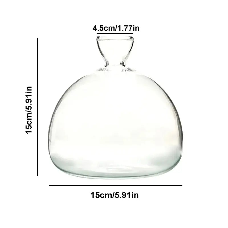 Avocado Seed Starter Vase Transparent Glass Vase Vase for Growing Plant Glass Seed Growing Kit for Gardening Lovers